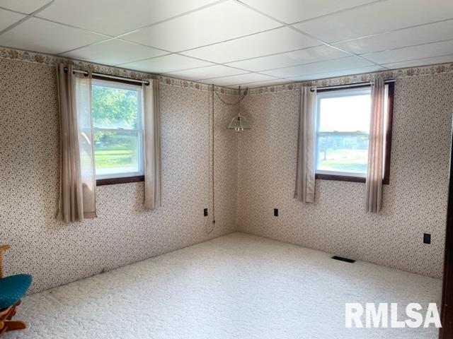 102 West State Street Modesto, IL 62667 - Photo 19 of 29