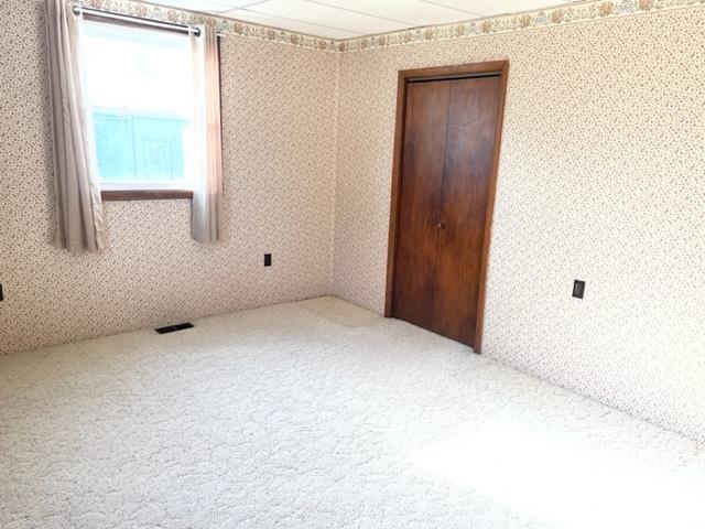 102 West State Street Modesto, IL 62667 - Photo 20 of 29