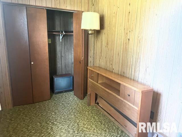 102 West State Street Modesto, IL 62667 - Photo 21 of 29