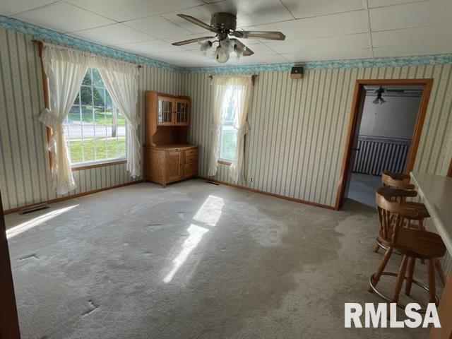 102 West State Street Modesto, IL 62667 - Photo 3 of 29