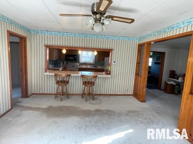 102 West State Street Modesto, IL 62667 - Photo 4 of 29