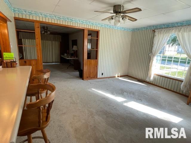 102 West State Street Modesto, IL 62667 - Photo 5 of 29