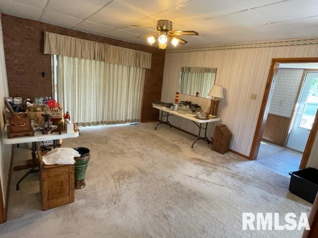 102 West State Street Modesto, IL 62667 - Photo 6 of 29