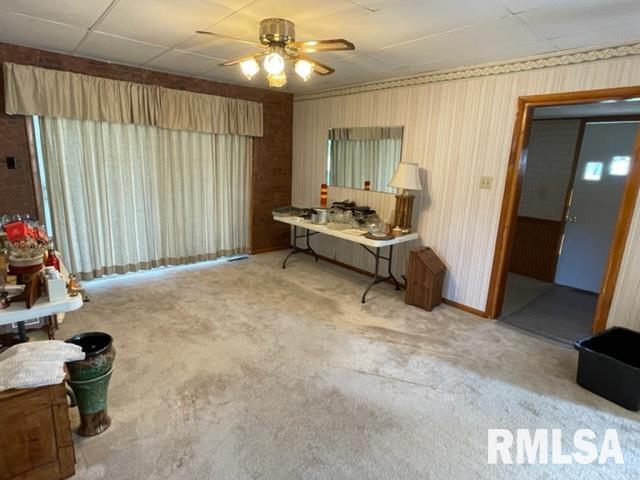 102 West State Street Modesto, IL 62667 - Photo 8 of 29