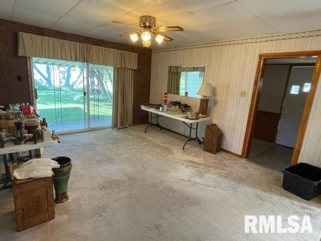 102 West State Street Modesto, IL 62667 - Photo 9 of 29