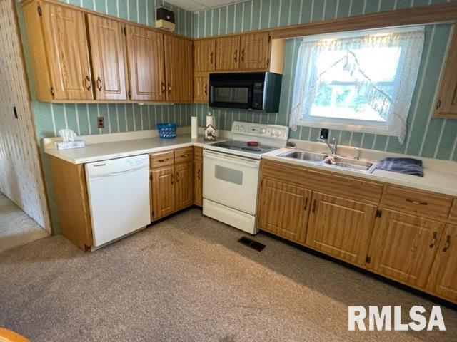 102 West State Street Modesto, IL 62667 - Photo 10 of 29