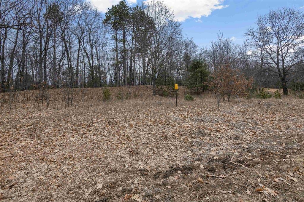 North White Potato Lake Road, Unit 3 Pound, WI 54161 - Photo 7 of 12