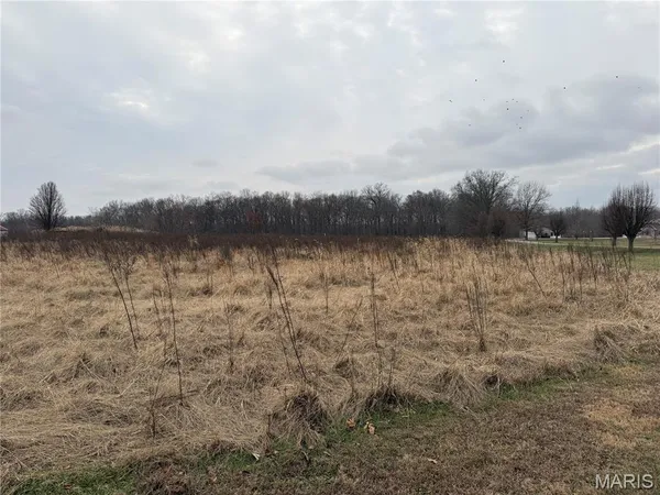 $228,015 | 0 State Highway, Mulkeytown, IL 62865