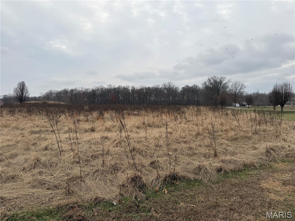 0 State Highway Mulkeytown, IL 62865 - Photo 12 of 14