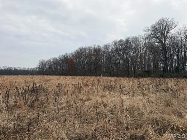 $228,015 | 0 State Highway, Mulkeytown, IL 62865