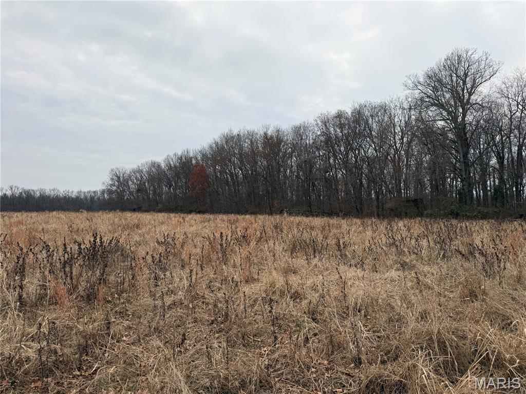 0 State Highway Mulkeytown, IL 62865 - Photo 14 of 14