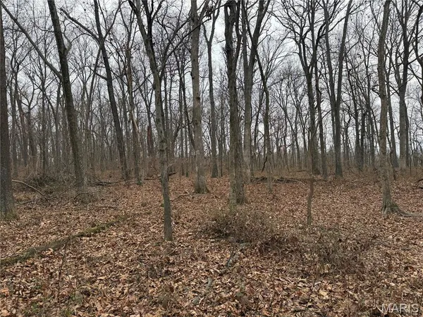 $228,015 | 0 State Highway, Mulkeytown, IL 62865