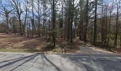 a view of a forest with trees