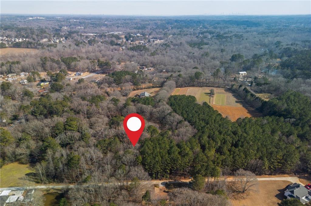 3311 Clay Road Southwest Austell, GA 30106 - Photo 8 of 16 a view of a forest with a sink