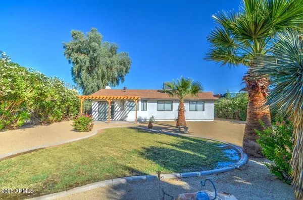 a view of a backyard