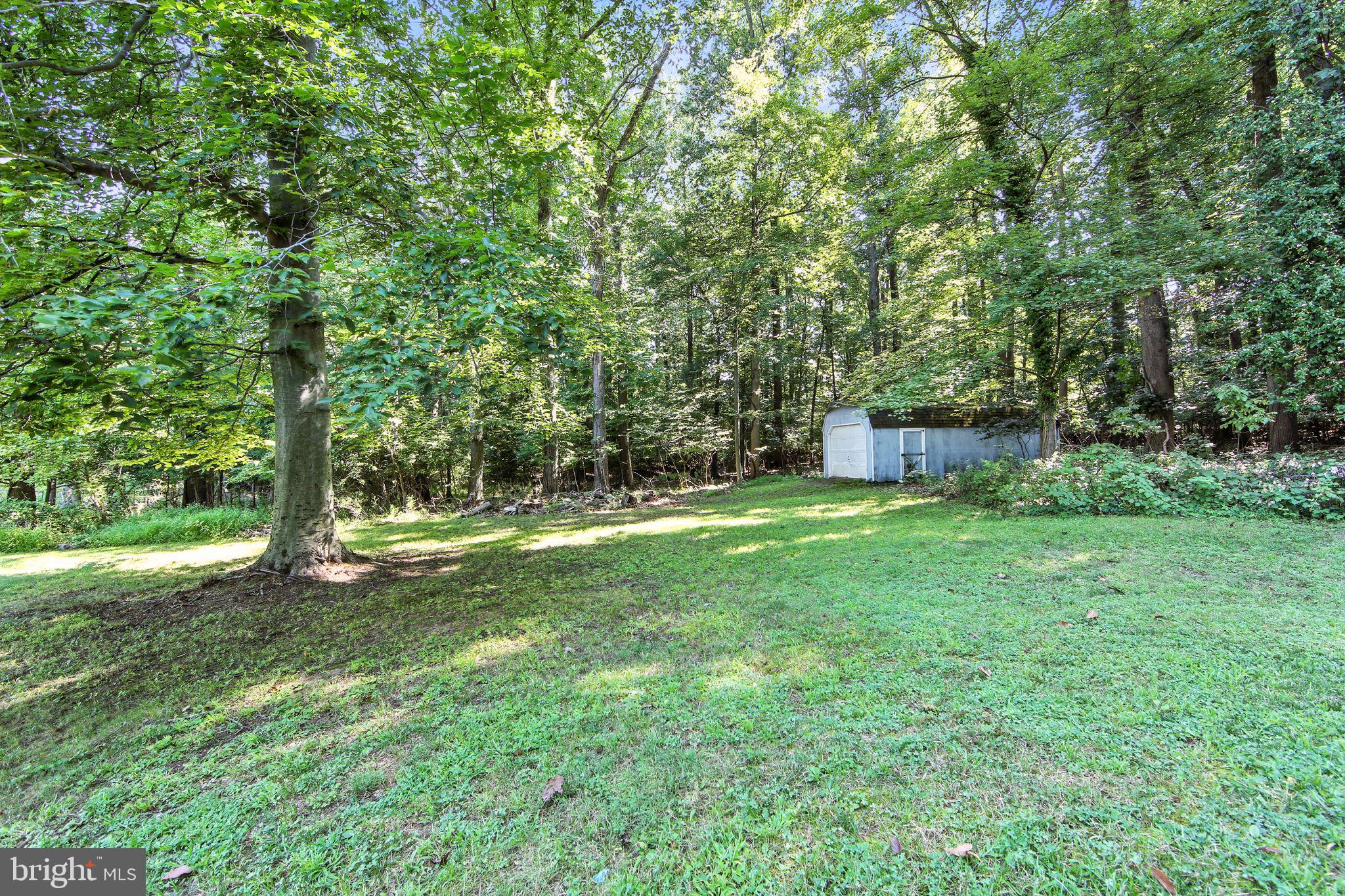812 Mennonite Road Royersford, PA 19468 - Photo 7 of 35 Shed in backyard-great privacy with trees!