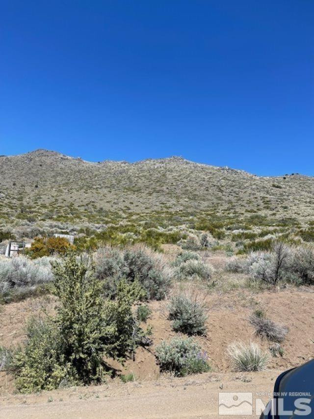 1305 Freds Mountain Road Reno, NV 89508 - Photo 8 of 8 a view of a dry yard with mountains in the background