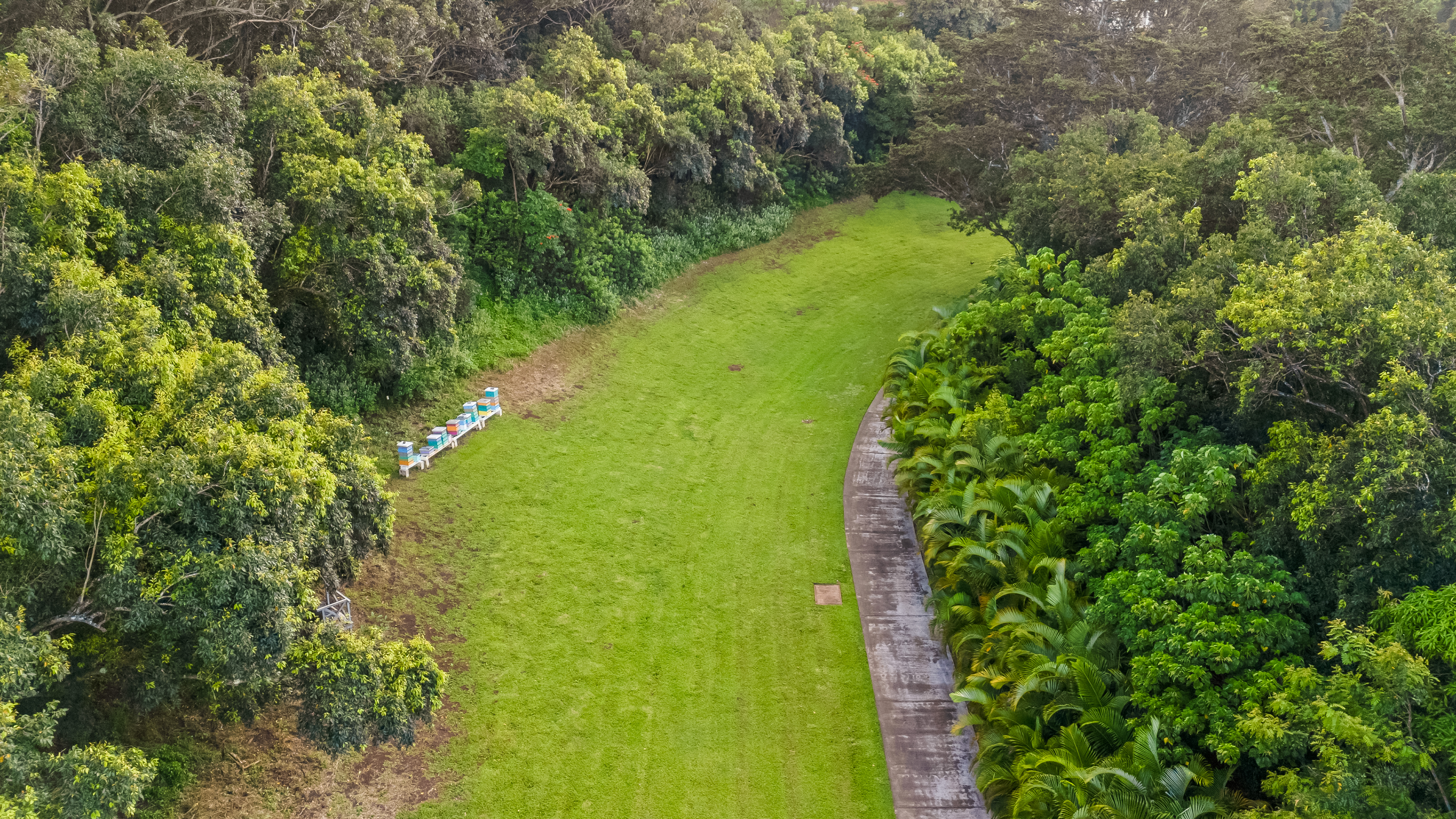Umiumi Road Kalaheo, HI 96741 - Photo 6 of 9