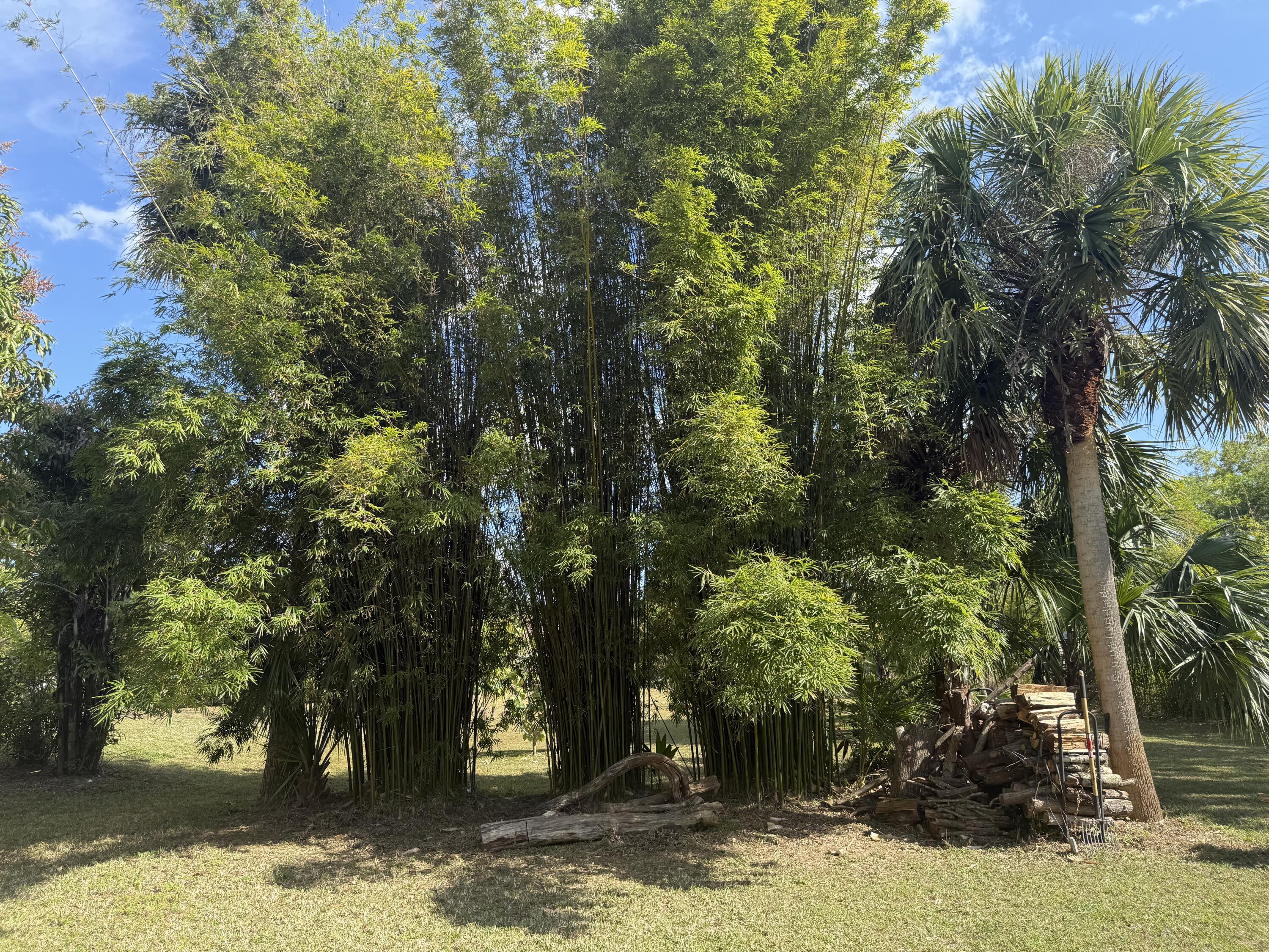 15119 98th Trail North Jupiter, FL 33478 - Photo 43 of 51 IMG_0238