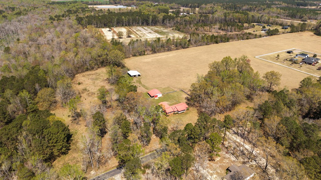 3795 Bart Davis Road Alcolu, SC 29001 - Photo 32 of 81