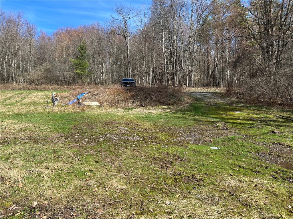 110 Ryan Road Mount Upton, NY 13809 - Photo 2 of 6
