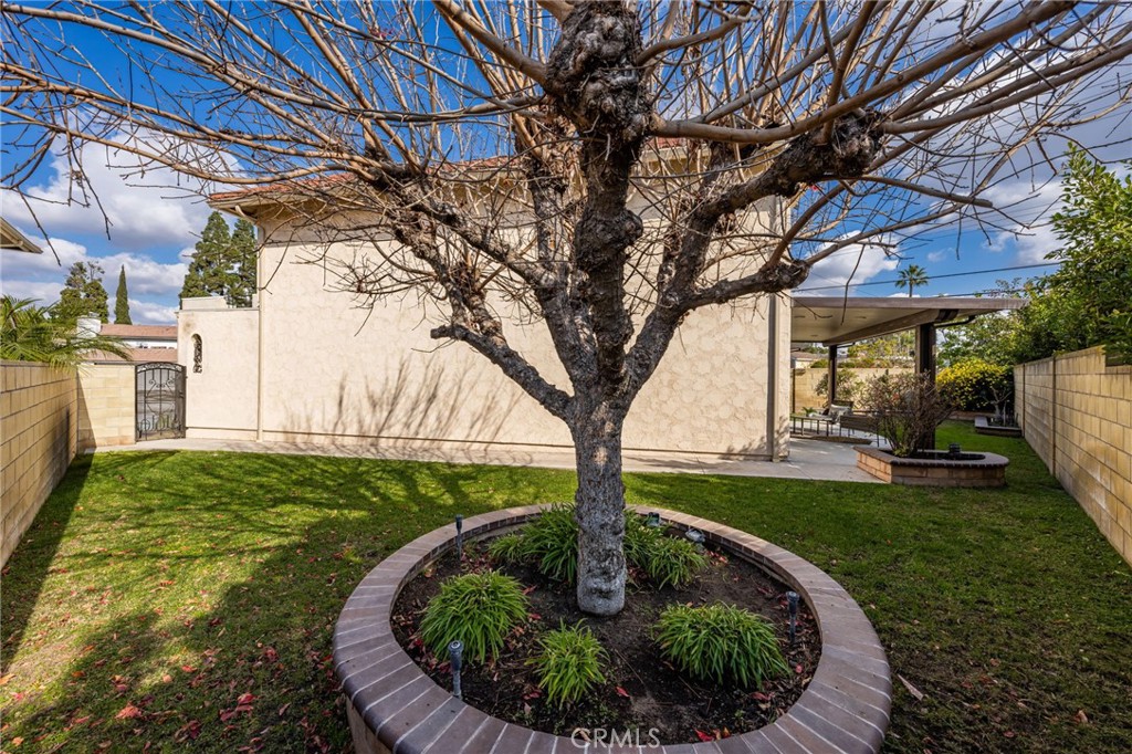 8242 Baldwin Circle Buena Park, CA 90621 - Photo 33 of 44 a view of a backyard with plants and a patio