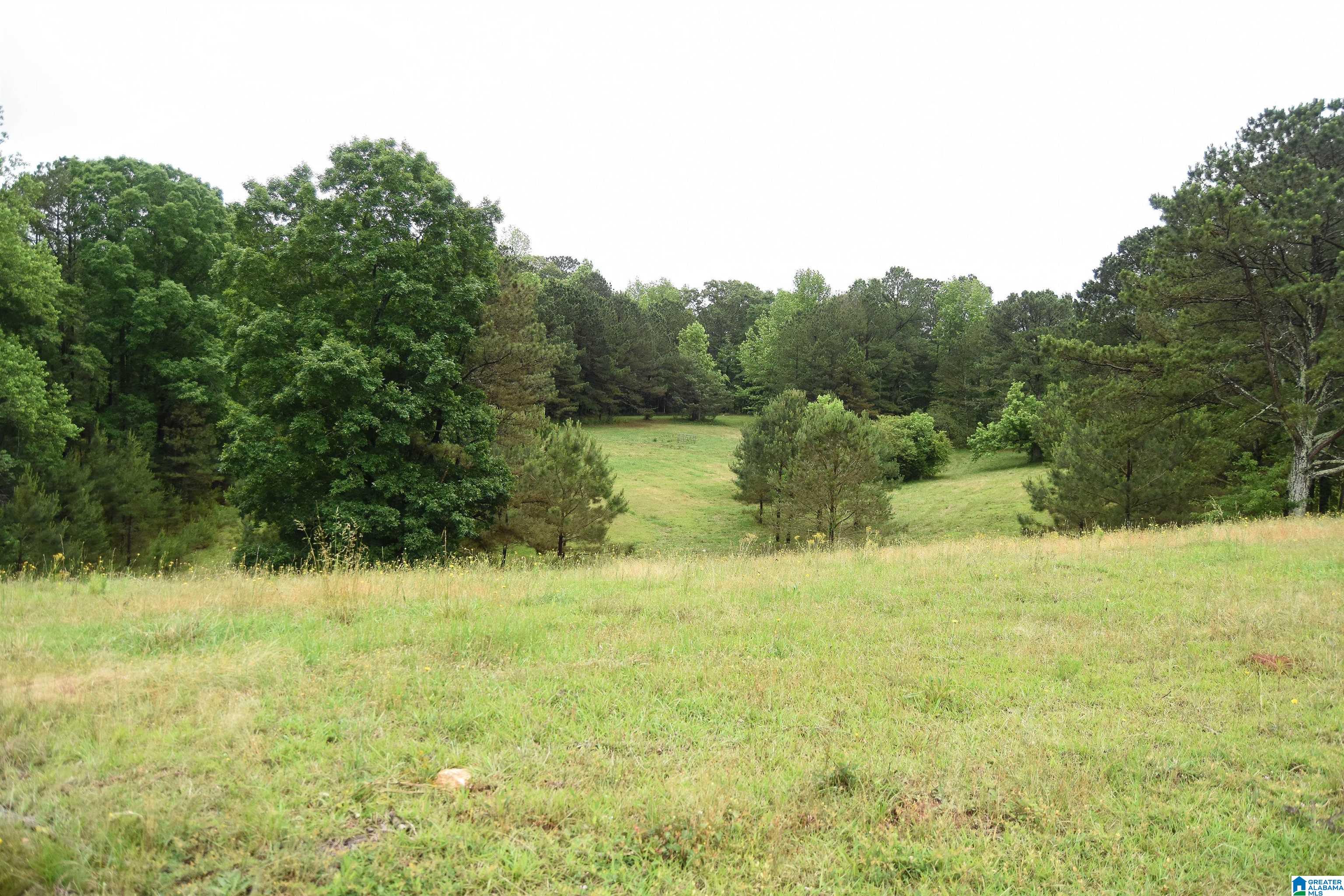 2488 Louina Road Roanoke, AL 36274 - Photo 70 of 97