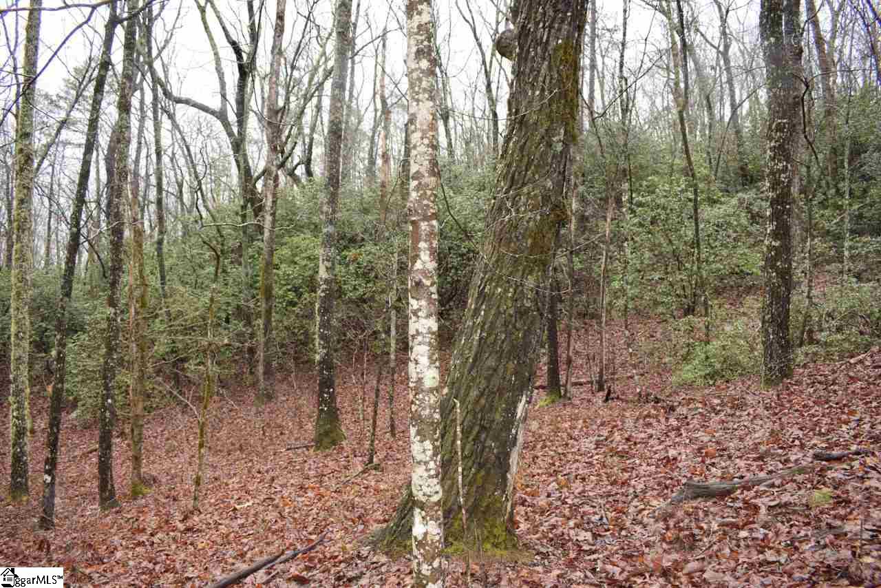 Wildflower Lane Pickens, SC 29671 - Photo 3 of 14