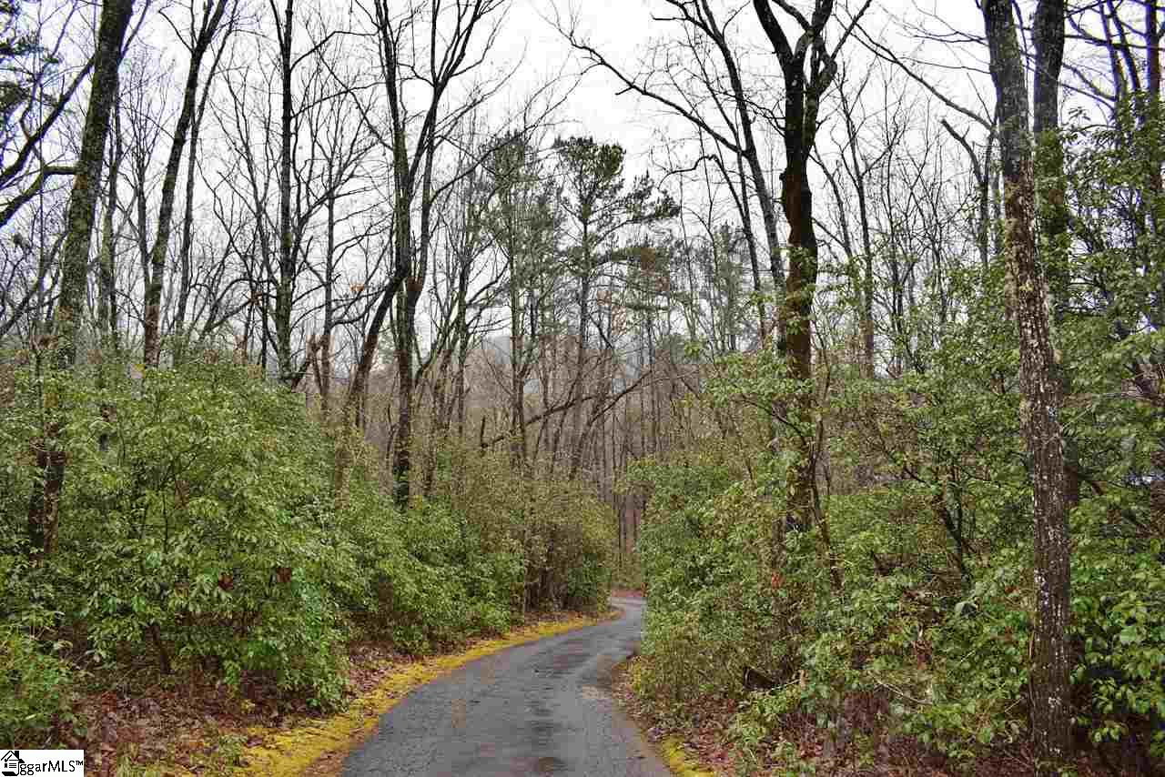 Wildflower Lane Pickens, SC 29671 - Photo 8 of 14