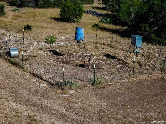 a view of path along with trees