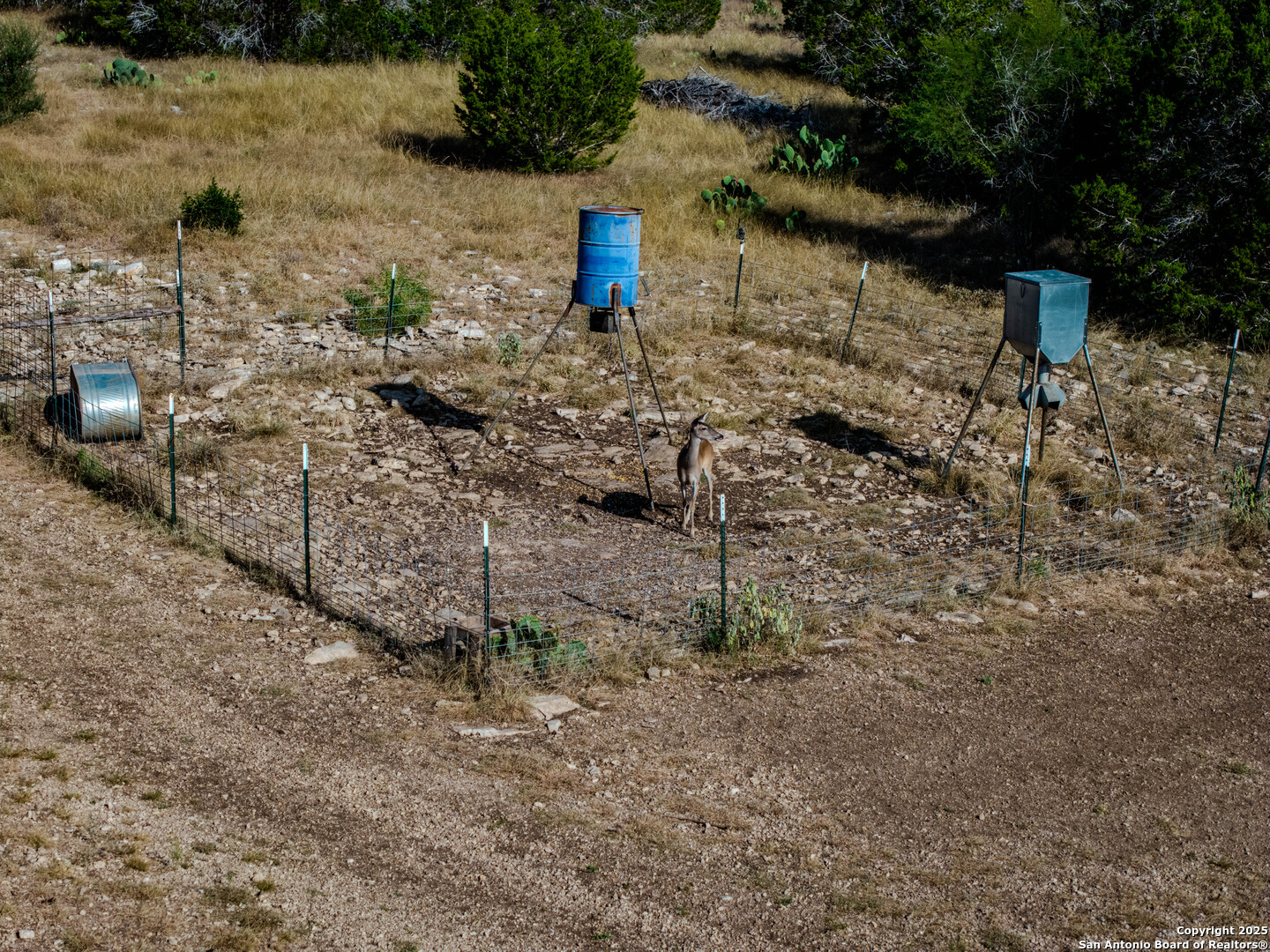a view of path along with trees