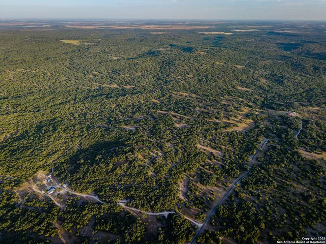 a view of a lake in middle of forest
