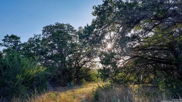 an aerial view of house and yard