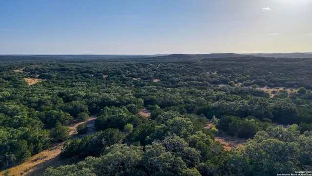 a view of yard with trees