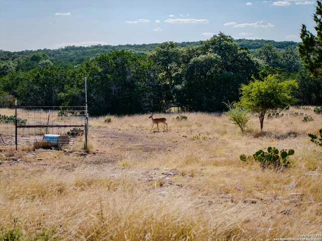 a view of outdoor space with deck and barbeque oven