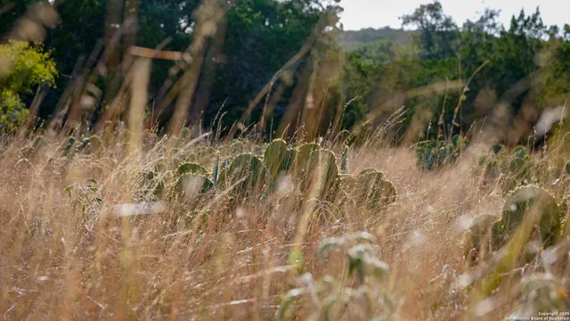 a view of mountain with lake view