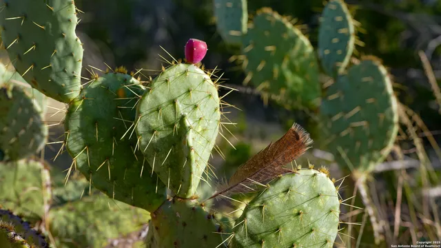 a view of an ocean and beach