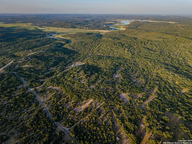a view of a yard with plants and trees