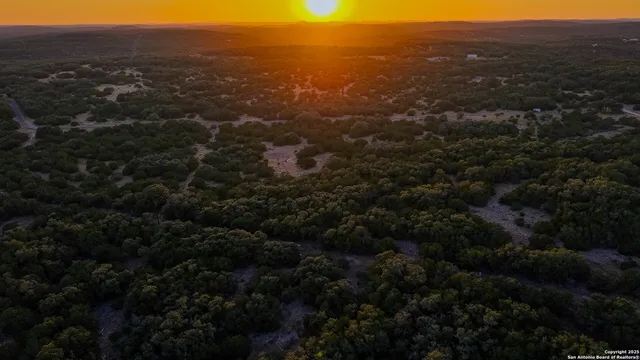 a close up of a flower in a garden