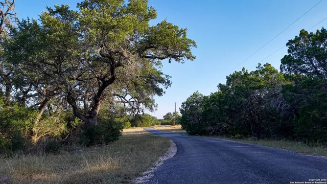 an aerial view of residential houses with outdoor space and trees