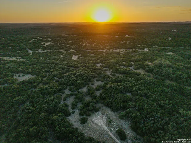 a view of city and green space