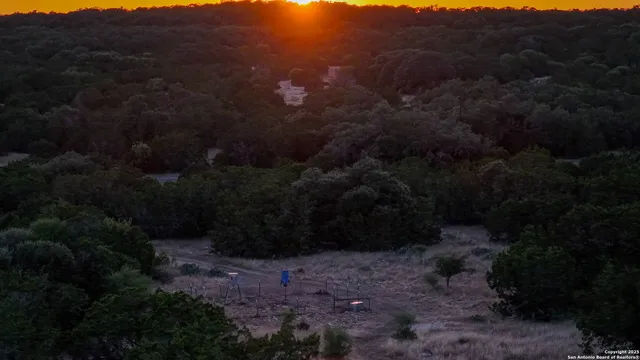 a view of a yard with plants and a bench