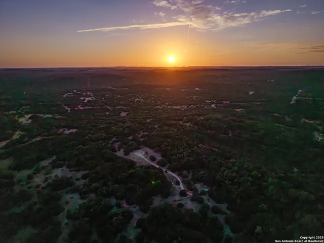 a view of a yard with plants and a bench