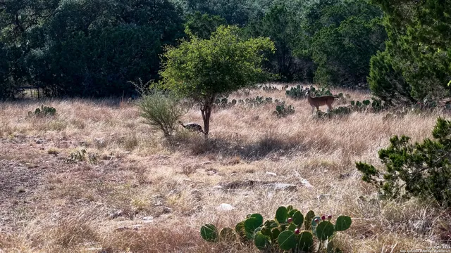 a view of city and ocean