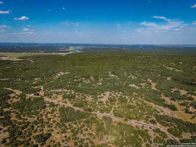a view of outdoor area with plants and trees