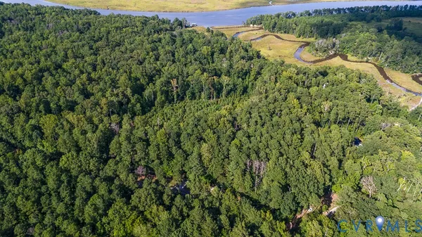 a view of a city and lush green forest