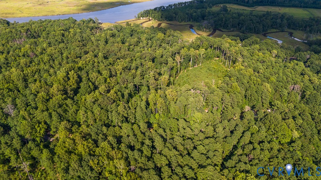 0 Custis Millpond Road West Point, VA 23181 - Photo 10 of 10 a view of a big yard with plants and large trees