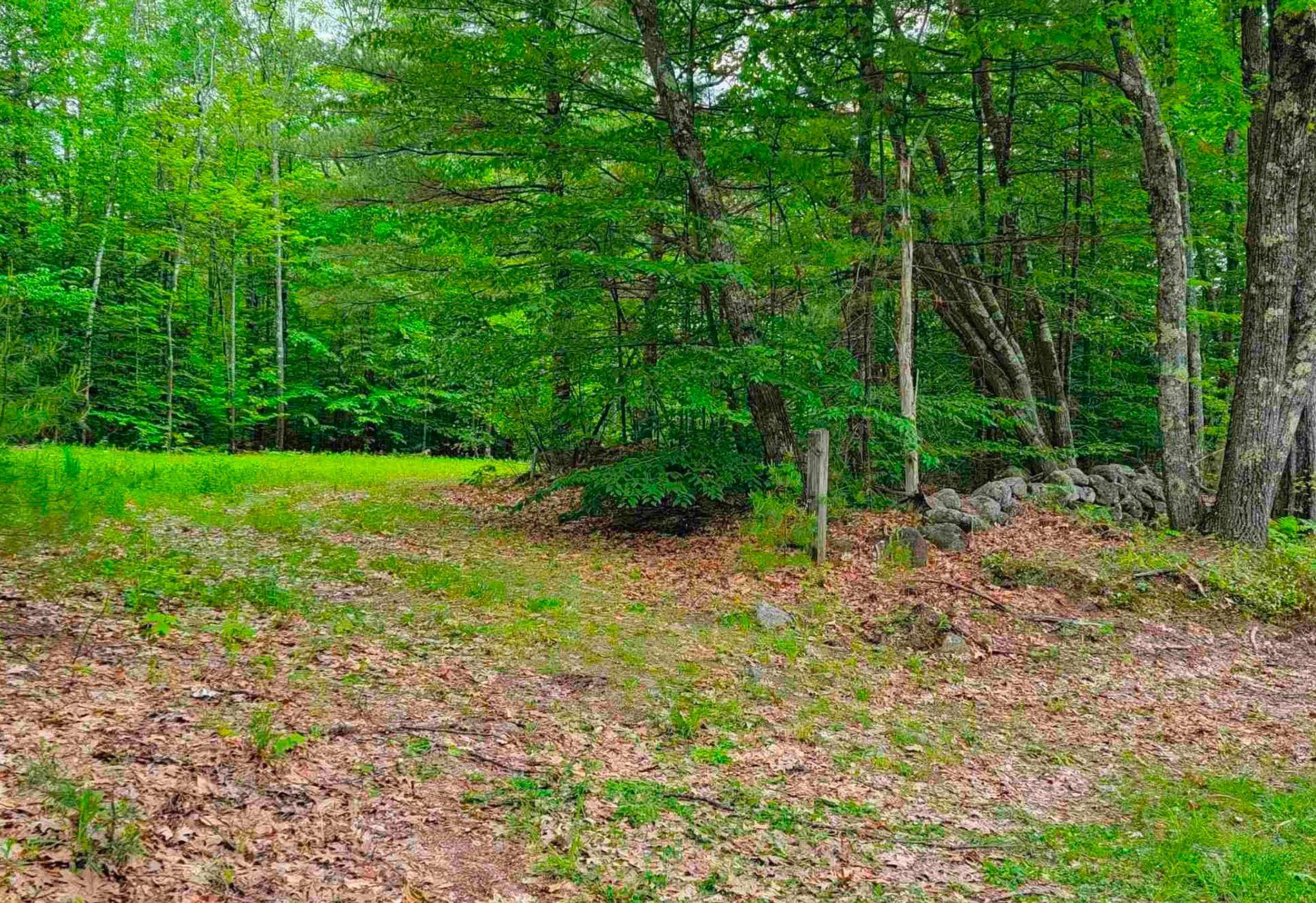 1195 Bennington Road Francestown, NH 03043 - Photo 2 of 8