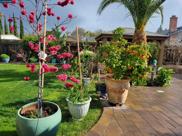 a view of a house with a backyard