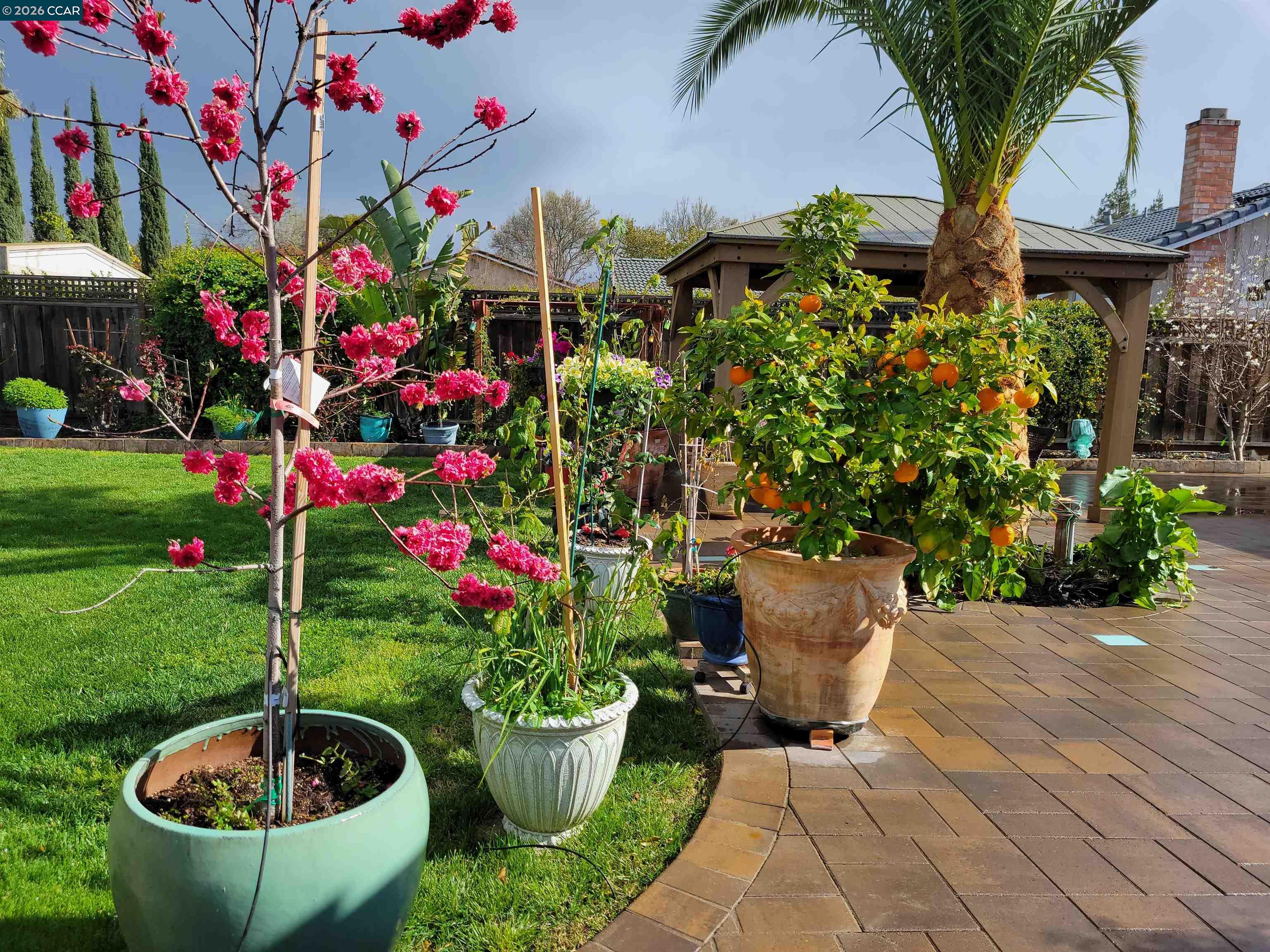 4151 Storey Lane Concord, CA 94518 - Photo 35 of 40 a view of a backyard with plants